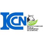 iccn